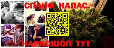 apvp Аша